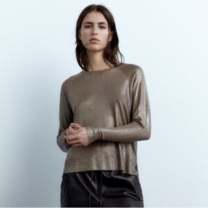 Zara Metallic Top NWT XL